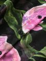 SHEIN Privé Plus Size Floral Long Sleeve Shirt