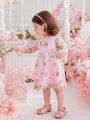 Baby Girls' Sweet Embroidered Mesh Dress For Spring/Summer