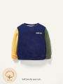 Cozy Cub Baby Boy Letter Graphic Colorblock Sweatshirt