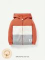 Cozy Cub Color-blocked Baby Boy Hooded Jacket With Embellishment