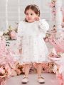 Fashionable Baby Girl'S Mesh Tulle Princess Dress