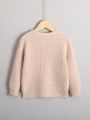 Young Boy Solid Drop Shoulder Sweater