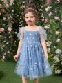 SHEIN Kids CHARMNG Toddler Girls Floral Embroidery Mesh Overlay Dress