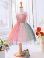 SHEIN Kids CHARMNG Little Girl's Simple Sequin Top & Tulle Dress Combo