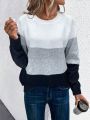 Color Block Raglan Sleeve Sweater