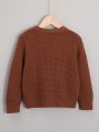 Young Boy Solid Drop Shoulder Sweater