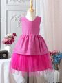 Young Girls' Sleeveless Mesh Patchwork Puffy Dress