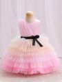 Young Girl Ombre Layer Mesh Hem Belted Party Dress