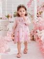 Baby Girls' Sweet Embroidered Mesh Dress For Spring/Summer