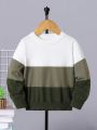 SHEIN Kids EVRYDAY Young Boy Color Block Sweater