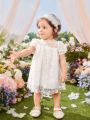 Baby Girl's Summer White Lace Mesh Flower Bubble Sleeve Dress For Formal Occasions