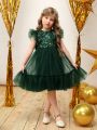 SHEIN Kids CHARMNG Young Girl Sequin Insert Ruffle Trim Mesh Overlay Party Dress