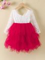 SHEIN Kids CHARMNG Young Girl Lace Bodice Layered Ruffle Hem Dress