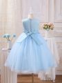 Young Girl's Butterfly Applique Decorated Mesh Sleeveless Party Dress