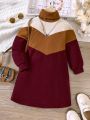 Little Girls' Color Block Turtleneck Dress