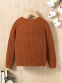 Toddler Boys' Basic Casual Round Neck Drop Shoulder Sleeve Sweater For Autumn And Winter