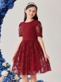 SHEIN Kids CHARMNG Tween Girls' Embroidered Butterfly Mesh Puff Sleeve Party Dress