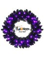 Costway 24inch Pre-lit Christmas Halloween Wreath Black w/ 35 Purple LED Lights