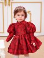 SHEIN Baby Girls' Gorgeous Chinese Style Embroidery Bubble Long Sleeve Dress