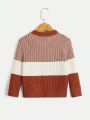 SHEIN Kids EVRYDAY Boys' Contrast Color Round Collar Sweater