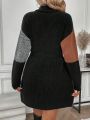 SHEIN LUNE Colorblock Turtleneck Long Sleeve Knitted Dress