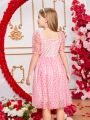 SHEIN Kids CHARMNG Girls' Romantic Elegant Valentine's Day Heart Mesh Dress