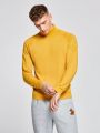 SHEIN Men Turtleneck Raglan Sleeve Sweater