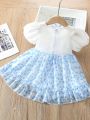 Baby Girl's Blue Heart Pattern Chiffon Dress