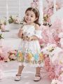 Baby Girl Hollowed Top Bowknot Embellished Embroidered Mesh Dress