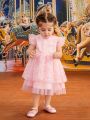 Baby Girl Spring Summer Pink Lace Tulle Gorgeous Romantic Cute Daily Casual Dress