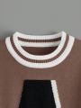 SHEIN Kids EVRYDAY Boys' Long Sleeve Crew Neck Sweater