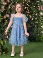 SHEIN Kids CHARMNG Toddler Girls Floral Embroidery Mesh Overlay Dress