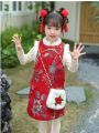 Young Girl's Chinese Traditional Embroidered Dress, Hanfu Style