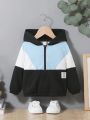 SHEIN Baby Boys' Color Block Hoodie With Decorative Stripes