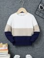 SHEIN Kids EVRYDAY Young Boys' Multicolor Wide Striped Sweater, Long Sleeve Pullover Sweater