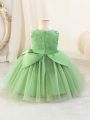 Young Girl's Floral Embroidery Mesh Ball Gown Dress For Special Occasions