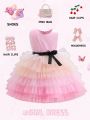Young Girl Ombre Layer Mesh Hem Belted Party Dress