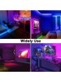 1Pcs Purple 6mm Neon LED Strip Light 16.4ft/5m 12V Silicone Neon Rope Lights Waterproof Flexible LED Neon Lights for Bedroom Indoors Outdoors