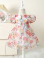 Baby Girls' Romantic Floral Print Party Dress