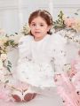 Fashionable Baby Girl'S Mesh Tulle Princess Dress