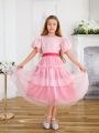 SHEIN Kids CHARMNG Tween Girls' Mesh Edging Round Neck Puff Sleeve Jacquard Blouse Matched With Mesh Tiered Hem Skirt Two Pieces Set