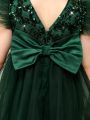 SHEIN Kids CHARMNG Young Girl Sequin Insert Ruffle Trim Mesh Overlay Party Dress