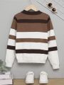 SHEIN Kids EVRYDAY Tween Boy Color Block Sweater