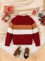 SHEIN Young Boy Colorblock Cable Knit Raglan Sleeve Sweater