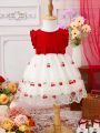 Baby Girl Fashionable Knitted Embroidered Mesh Dress