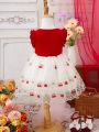 Baby Girl Fashionable Knitted Embroidered Mesh Dress