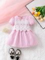 Baby Girls' Pink Wave Pattern Patchwork Lace Dress, Cute, Daily Casual, Elegant And Romantic, Spring/Summer