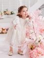 Baby Girls' Mesh Embroidered Dress With Ruffle Hem