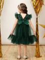 SHEIN Kids CHARMNG Young Girl Sequin Insert Ruffle Trim Mesh Overlay Party Dress