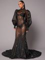 Luxe Mock Neck Lantern Sleeve Rhinestone Detail Mesh Dress Without Bra